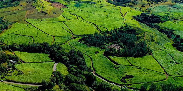 Bel ombre wilderness tour (5)